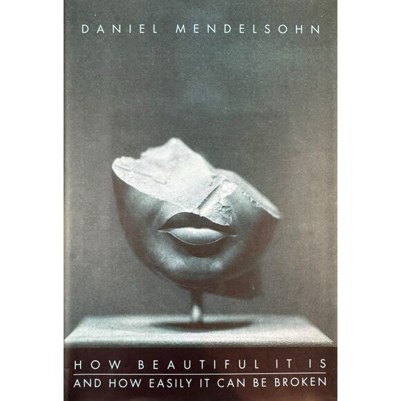 How Beautiful It Is and How Easily It Can Be Broken by Daniel Men... (Hardcover) - Picture 1 of 11